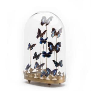Butterflies sculpture