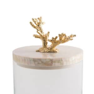 Coral jar - gold detail