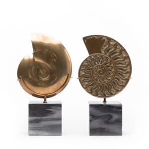 Ammonite Brass Object