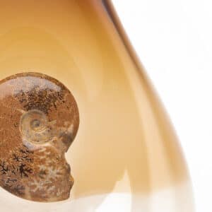 Ammonite Glass Vase