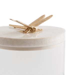 Dragonfly Jar- angle detail