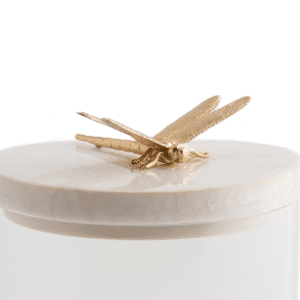 Dragonfly Storage Jar