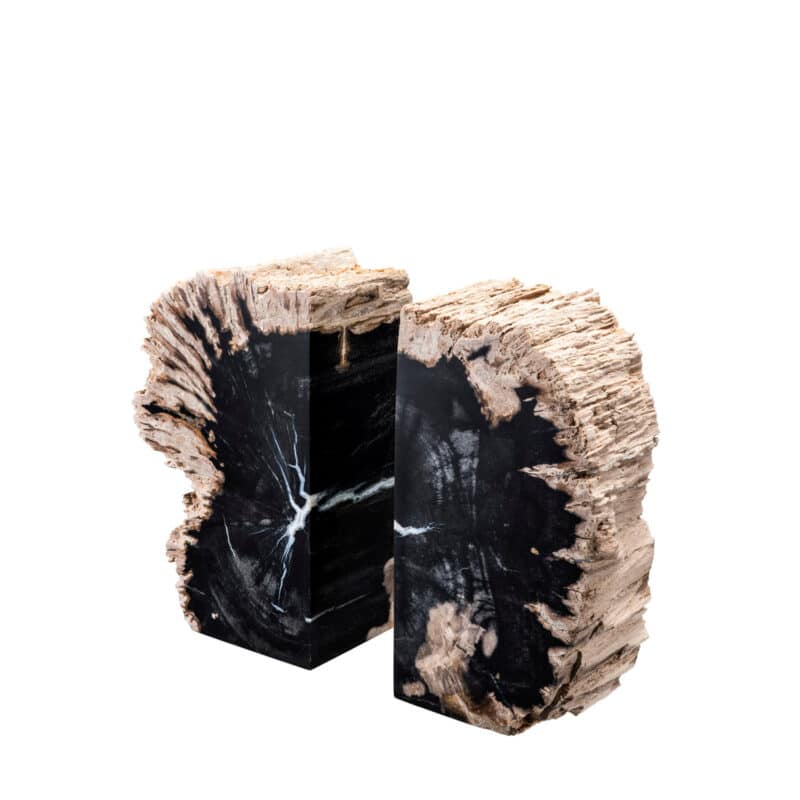 Designer Fossilised Wood Bookends Paperweight