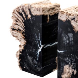 Fossilised Wood Bookends Detail