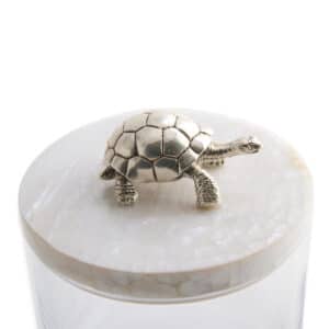 Turtle Storage Jar