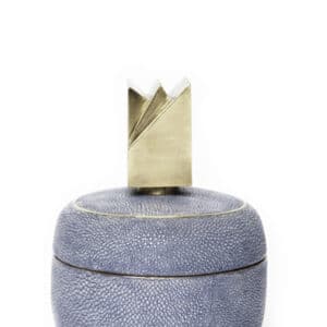 Viola Shagreen Box - top detail